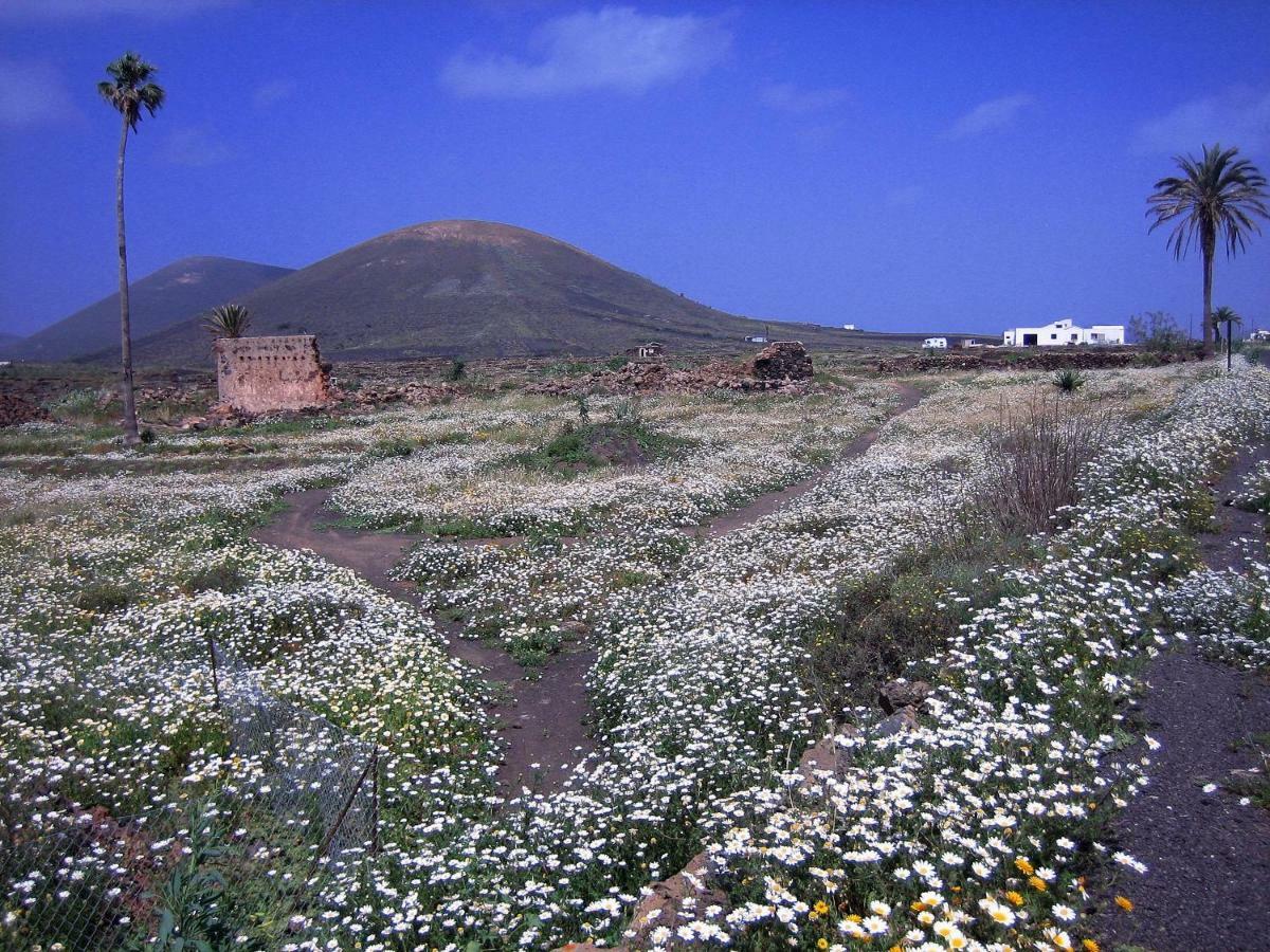 Castillo Lanzarote Villa Winni - Luxury Villa - Pet Friendly With Heated Pool La Asomada  Εξωτερικό φωτογραφία