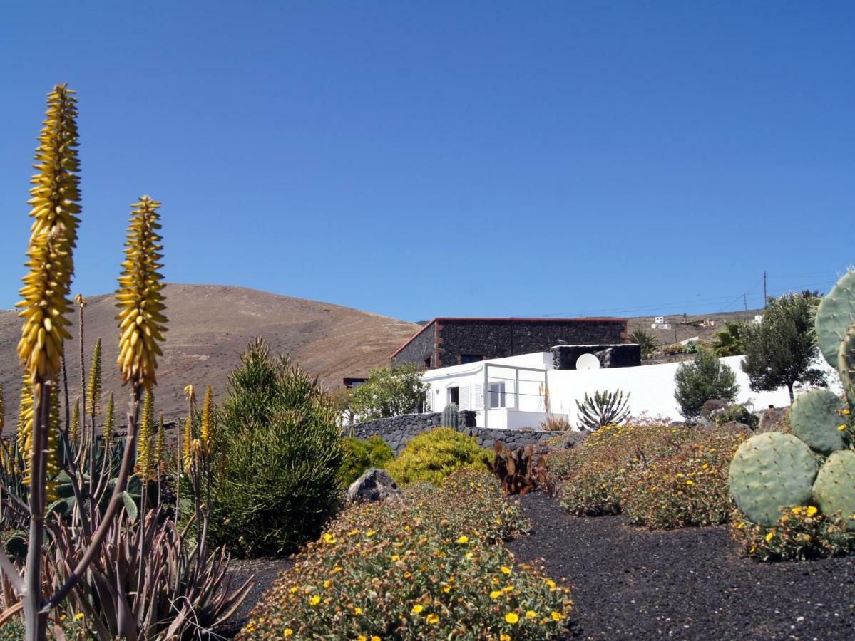 Castillo Lanzarote Villa Winni - Luxury Villa - Pet Friendly With Heated Pool La Asomada  Εξωτερικό φωτογραφία