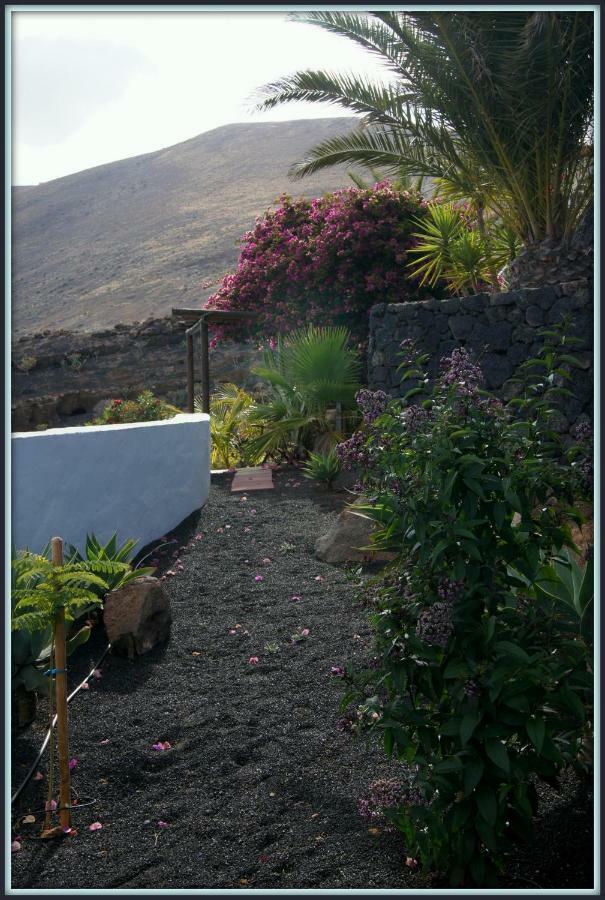 Castillo Lanzarote Villa Winni - Luxury Villa - Pet Friendly With Heated Pool La Asomada  Εξωτερικό φωτογραφία